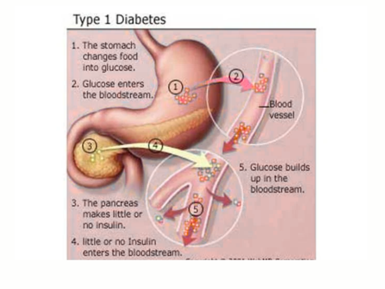 Trusted Pediatric Endocrinology Delhi with Dr. Vaishakhi Rustagi pediatric endocrinology Delhi